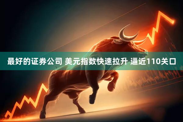 最好的证券公司 美元指数快速拉升 逼近110关口