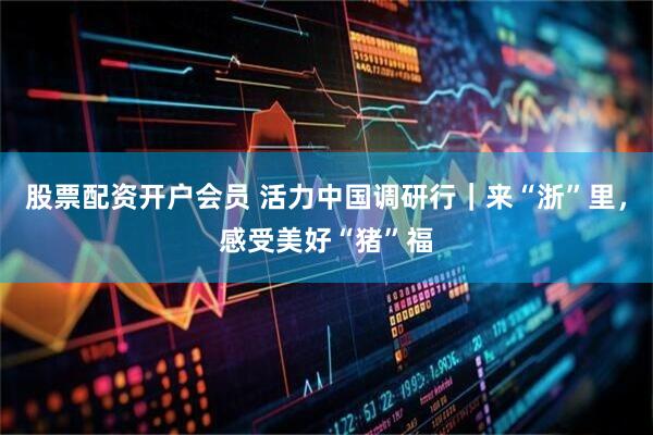 股票配资开户会员 活力中国调研行｜来“浙”里，感受美好“猪”福