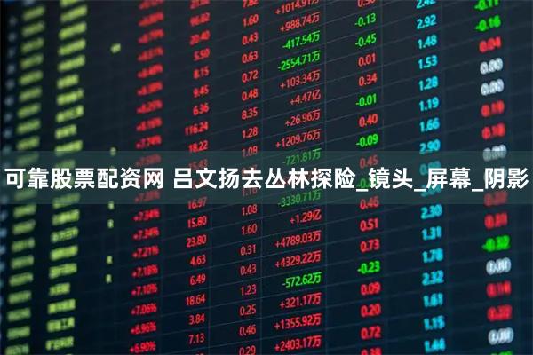 可靠股票配资网 吕文扬去丛林探险_镜头_屏幕_阴影